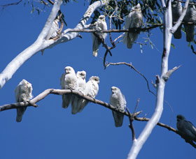 Carawine Gorge - Accommodation Mermaid Beach 0