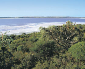 Pink Lake - Accommodation Mermaid Beach 0