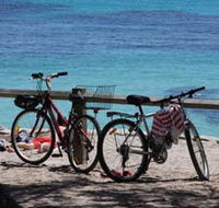 Parker Point Marine Snorkel Trail - Accommodation Mermaid Beach