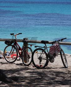 Parker Point Marine Snorkel Trail - Accommodation Mermaid Beach 0