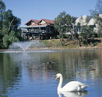 White Swans - Accommodation Mermaid Beach