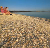 Shell Beach - Accommodation Mermaid Beach