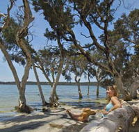 Stokes National Park - Accommodation Mermaid Beach