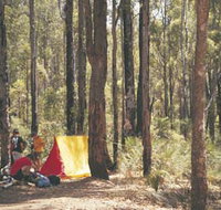 Lane Poole Reserve - Accommodation Mermaid Beach