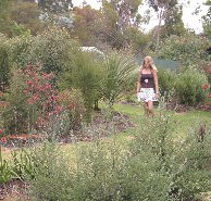 The Mythic Mazes - Accommodation Mermaid Beach