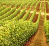 MadFish Wines Margaret River - Accommodation Mermaid Beach