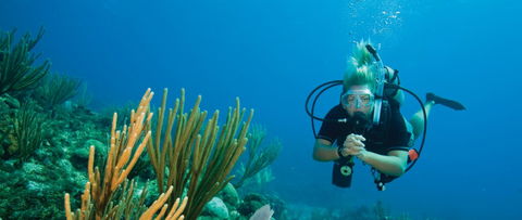Coastal Water Dive - Accommodation Mermaid Beach 0