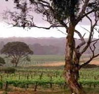 Yangarra Estate Vineyard - Accommodation Mermaid Beach