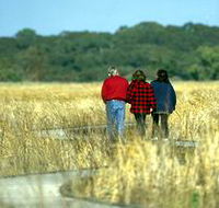 Onkaparinga River Recreation Park - Accommodation Mermaid Beach