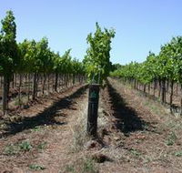 Temple Bruer Winery - Accommodation Mermaid Beach