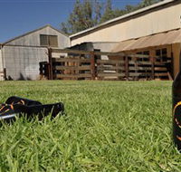 Wilkadene Woolshed Brewery - Accommodation Mermaid Beach