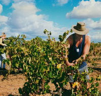 Torbreck Vintners - Accommodation Mermaid Beach