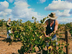 Torbreck Vintners - Accommodation Mermaid Beach 0