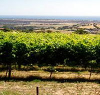 Braydun Hill Vineyard - Accommodation Mermaid Beach
