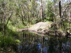 Para Wirra Recreation Park - Accommodation Mermaid Beach 0