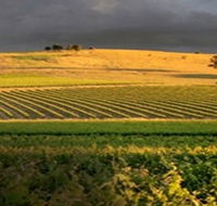Kellermeister Wines - Accommodation Mermaid Beach
