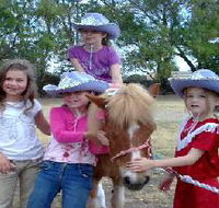 Amberainbow Pony Rides - Accommodation Mermaid Beach