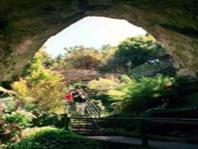 Engelbrecht Cave - Accommodation Mermaid Beach 0