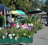 Meadows Monthly Market - Accommodation Mermaid Beach