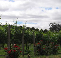 Manyara Vineyard - Accommodation Mermaid Beach