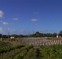 Deep Creek Wines and Alpacas - Accommodation Mermaid Beach