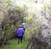 Jack And Hilda McArthur Walk - Accommodation Mermaid Beach