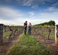 Coonawarra Wineries Walking Trail - Accommodation Mermaid Beach