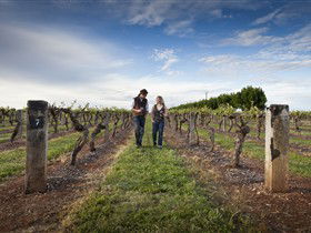 Coonawarra Wineries Walking Trail - Accommodation Mermaid Beach 0