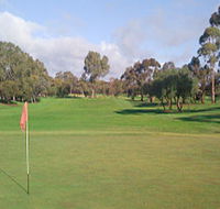 Regency Park Golf Course - Accommodation Mermaid Beach