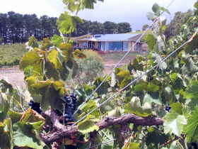 Willunga South SA Accommodation Mermaid Beach