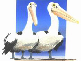 Bay Of Shoals Wines - Accommodation Mermaid Beach 0