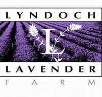 Lyndoch Lavender Farm and Cafe - Accommodation Mermaid Beach