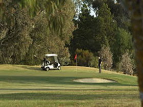 Barossa Valley Golf Club Incorporated - Accommodation Mermaid Beach 0