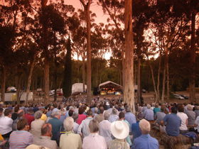 Bundaleer Forest Reserve - Accommodation Mermaid Beach 0