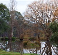 Gemtree Wetlands Ecotrail - Accommodation Mermaid Beach