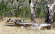 Penola Conservation Park - thumb 0