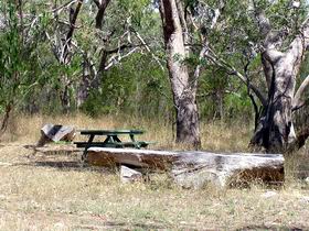 Penola Conservation Park - Accommodation Mermaid Beach 0