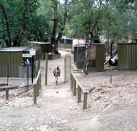 Humbug Scrub Wildlife Sanctuary - Accommodation Mermaid Beach