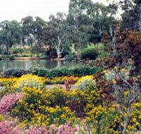 Wittunga Botanic Garden - Accommodation Mermaid Beach