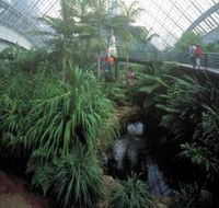 Bicentennial Conservatory - Accommodation Mermaid Beach