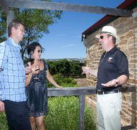 Shingleback Wine Cellar Door - Accommodation Mermaid Beach