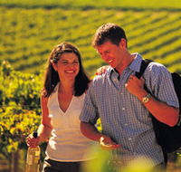 Lady Bay Vineyard - Accommodation Mermaid Beach