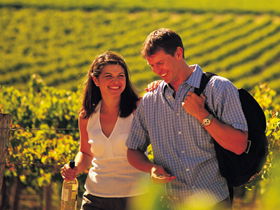 Lady Bay Vineyard - Accommodation Mermaid Beach 0
