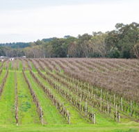 Dennis Wines - Accommodation Mermaid Beach