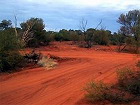 Tallaringa Conservation Park - Accommodation Mermaid Beach 0