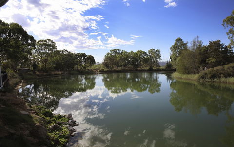Maggie Beer's Farm Shop - Accommodation Mermaid Beach 6