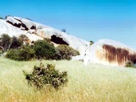 Ucontitchie Hill - Accommodation Mermaid Beach 0