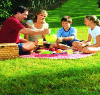 Bruny Island Berry Farm - Accommodation Mermaid Beach