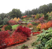 Emu Valley Rhododendron Garden - Accommodation Mermaid Beach