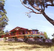 Barringwood Park Vineyard - Accommodation Mermaid Beach